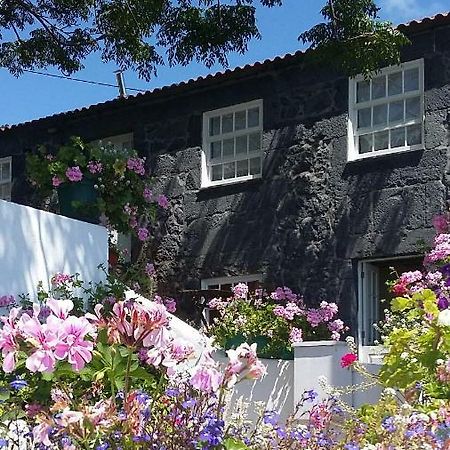 Гостьовий будинок Casa Do Ze - Al Manadas Екстер'єр фото