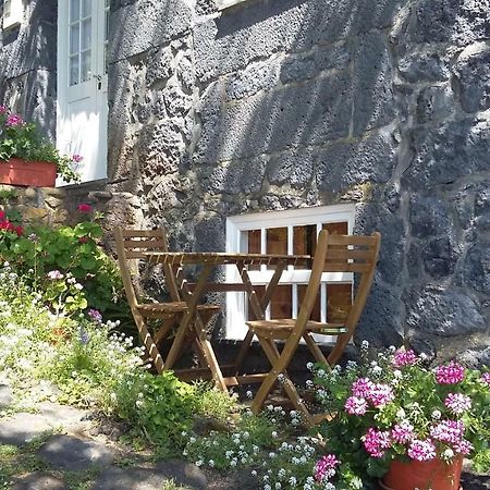 Гостьовий будинок Casa Do Ze - Al Manadas Екстер'єр фото