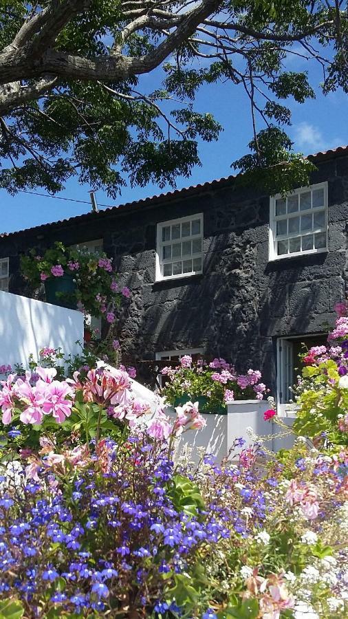 Гостьовий будинок Casa Do Ze - Al Manadas Екстер'єр фото